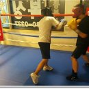 프라임복싱클럽 이미지