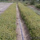 산마을 나드리 이미지