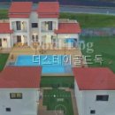 더스테이 골드독 네이버블로그
