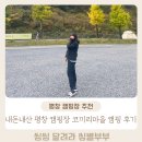 평창들꽃 | 별이 많이 보이는 평창 캠핑장 코끼리마을 캠핑장 캠핑 솔직후기