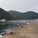 남해낚시 이미지