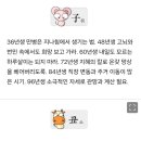 미리보는 띠별 내일의 운세 (11월16일) 이미지