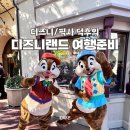 💝 디즈니 덕후가 말아주는 LA 디즈니랜드 여행 꿀팁! 파크/입장권/라이트닝레인