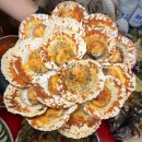 반한수산 이미지