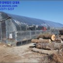 아산주유소 이미지