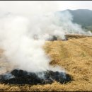 논두렁밭두렁 이미지