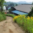 만수목장 이미지