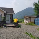 파란잔디