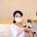 개인화물1569 | 궐동(수원,광교,동탄,오산,이의동,향남)고양이분양후기에요~