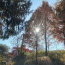 무궁화동산 화장실 | 수원 당일치기 텐트, 취사 가능한 무궁화동산 후기