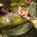 낚시터가든 이미지