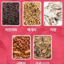 호리호리