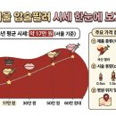 채움남성의원 | 입술필러 가격, 국산VS수입산 서울기준 시세 총정리