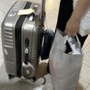 기내용 목베개 추천 지티스 접히는 양면 목쿠션 내돈내산 유럽여행 후기
