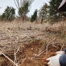 황정농장 이미지