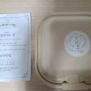 돌체디앤