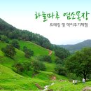 자라목장 이미지