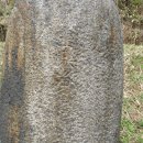 칠장사 부도군 이미지