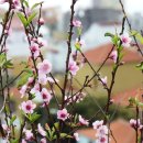 종합행정센터 행정사 사무소 이미지