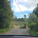 미숙목장 이미지