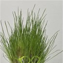 시온 행정사 사무소 이미지