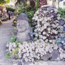 밸리 통나무 빌리지 이미지