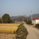 강근영민박 이미지