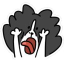 셀프 강아지 목욕탕 이미지