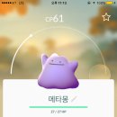 포켓서울