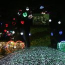 반딧불체육관 이미지