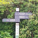 임걸령옹달샘 Daum카페