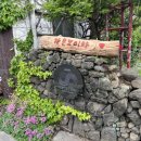 제주도 자운 스윔수트 게스트하우스 | [혼자 제주 여행기 1탄] 제주도 자운 스윔수트 모슬포 게스트하우스 강추 후기 🤍