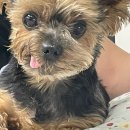 남원골추어탕과나주곰탕 이미지