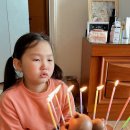 피쉬앤코랄