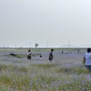 대벌경로당 이미지