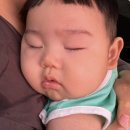 도사곡휴양림야영장 이미지