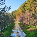 돌담집펜션 이미지