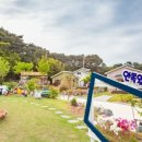 안목있는 춘향 이미지