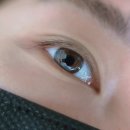 (주)아로마무역 | 일직동속눈썹 케어 끝판왕! 주와르 광명점 멀티 와르펌 후기