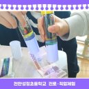 천안성정초등학교 | 천안성정초등학교 진로·직업체험 후기