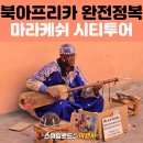 (주)젤리오아시스 | 모로코 마라케시 시티투어 | 바히아 궁전·사디안 무덤·마조렐 정원·제마알프나 광장