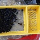 학사 1리 이미지