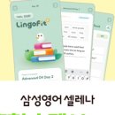 삼성영어석봉학원