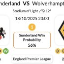 리즈펠리스 이미지