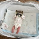 나로드림 | 리안드림콧 아기침대 대여 후기 / 아기와나 / 내돈내산