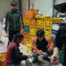 호준농장 이미지