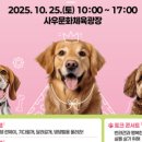 댕댕하개 이미지