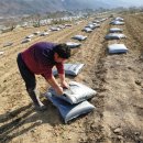 곡성군부산물자원화센터 이미지