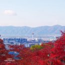 정연치과의원 이미지