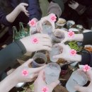 익*진* 이미지